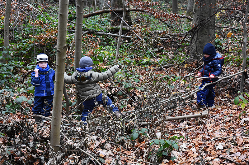 Waldtag